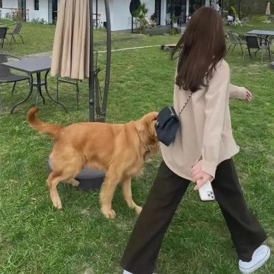 底特律内部